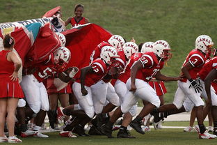 九游电竞官网-中国篮球教练员领导风格与球队表现关系研究,中国篮球教练员领导风格与球队表现关系研究论文