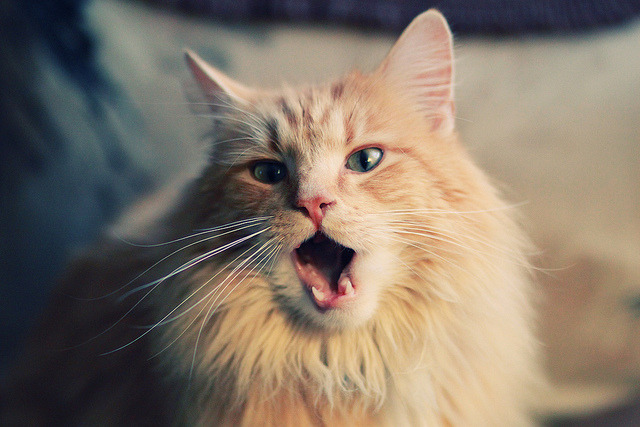 九游下载官方正版-中国篮球联赛数字化转型与智能观赛体验提升,篮球大数据平台中国篮协