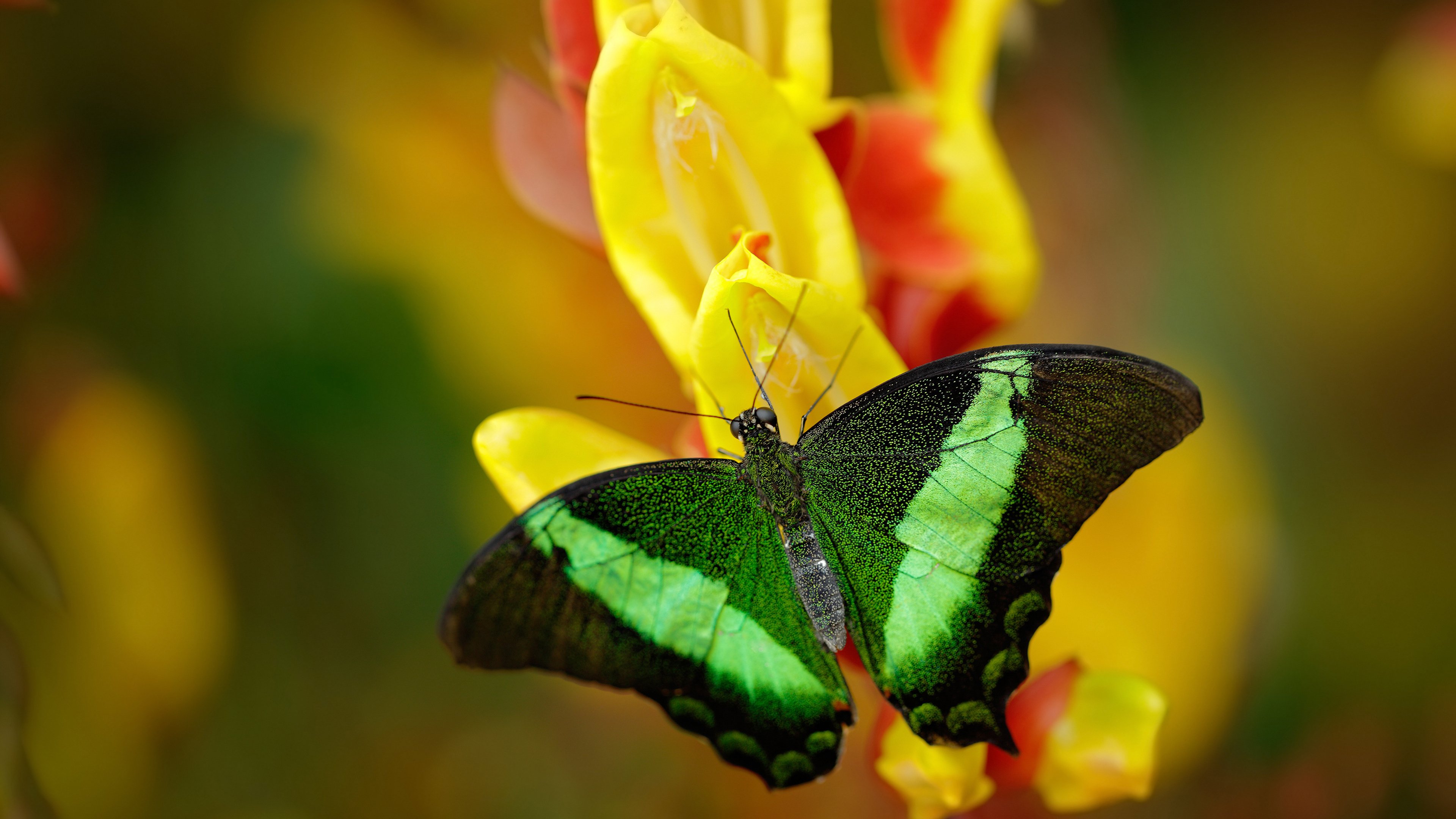 九游(jiuyou)官方网站-全国青少年硬地排球锦标赛精彩纷呈,全国青少年硬地排球锦标赛精彩纷呈
